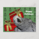 Suche nach afrikanisches weihnachten postkarten Vogelvogel
