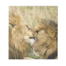 Suche nach leo notizblock Katze
