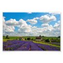 Suche nach lavendelfelder poster Landschaft
