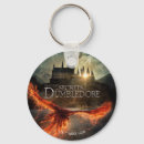 Suche nach dumbledore poster Geheimnisse dummer dur