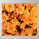 Suche nach farbiger hintergrund poster Natur