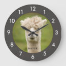 Suche nach alpaca poster Cute