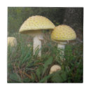 Suche nach mushroom fliesen Natur