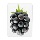 Suche nach zerreißen magnete Beere