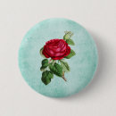 Suche nach rote rosen buttons Blume