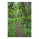 Suche nach trailer park poster Baum
