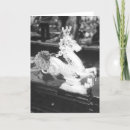 Suche nach venezianische karten Gewürz