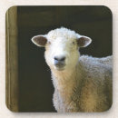 Suche nach sheep untersetzer Lamm