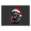 Suche nach schwarzer wolf poster Hund