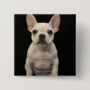 Suche nach französische bulldoggen buttons Hund
