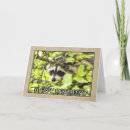 Suche nach waschbär geburtstag karten Natur