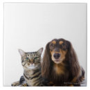 Suche nach dackel fliesen Tiere