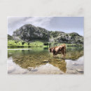 Suche nach asturien postkarten Covadonga