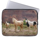 Suche nach fohlen laptop schutzhüllen Ranch