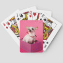 Suche nach chihuahua spielkarten Poker