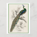 Suche nach jardin poster Antike