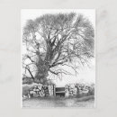 Suche nach elm postkarten Baum