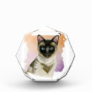 Suche nach orange miezekatze Illustration