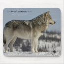 Suche nach wilder wolf mousepads Tiere