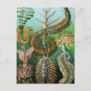 Suche nach ernst von haeckel postkarten Ernhaeckel