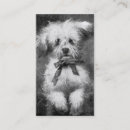 Suche nach flaumig visitenkarten Hund
