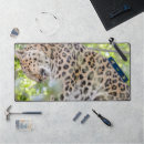 Suche nach große katzen mousepads Leopard