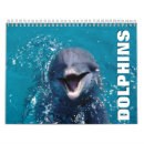 Suche nach delphin kalender Natur