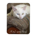 Suche nach katzen halsketten Blau