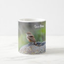 Suche nach wren tassen Vogelbeobachtung