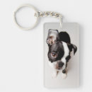 Suche nach boston terrier schlüsselanhänger Tier