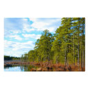 Suche nach barren poster Landschaft