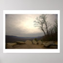Suche nach hawk poster Natur