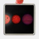 Suche nach zwerge ornamente Konzept