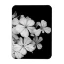 Suche nach magneten postkarten Blume