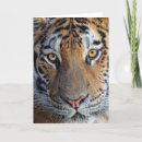 Suche nach amur postkarten Tierwelt