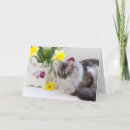 Suche nach siblings postkarten Familie