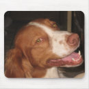 Suche nach lächelnd mousepads Haustier