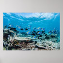 Suche nach underwater poster Scuba diving