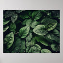 Suche nach feuchtigkeit poster Natur