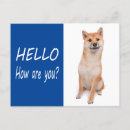 Suche nach shiba inu welpe poster Welpen