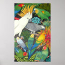 Suche nach afrikanischer vogel poster Papagei