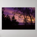 Suche nach lila himmel poster Landschaft