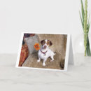Suche nach jack russell karten Blume