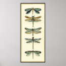 Suche nach collections poster Tiere