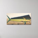 Suche nach mahi poster Goldmakrele