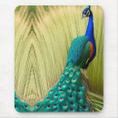 Suche nach bunte federn mousepads Grün