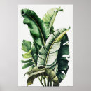 Suche nach bananenblatt poster Blume