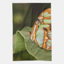 Suche nach makro geschirr tücher Natur