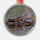 Suche nach gemalt ornamente Schildkröten