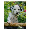 Suche nach wohnen zuhause Niedlich